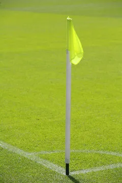 资深用户 张女士