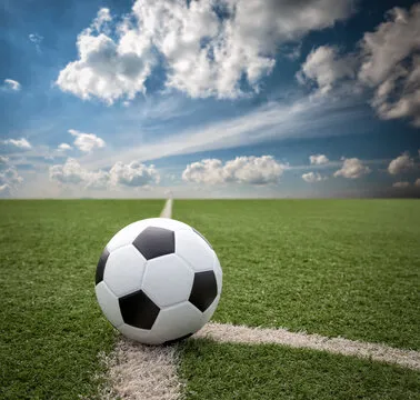 体育爱好者 王先生